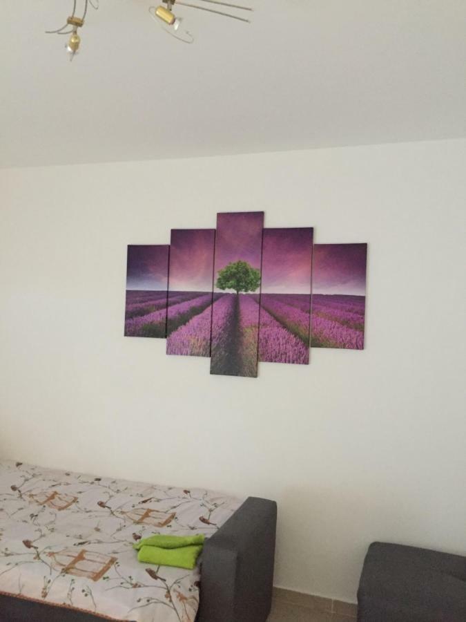 Apartment Brno Pula Dış mekan fotoğraf
